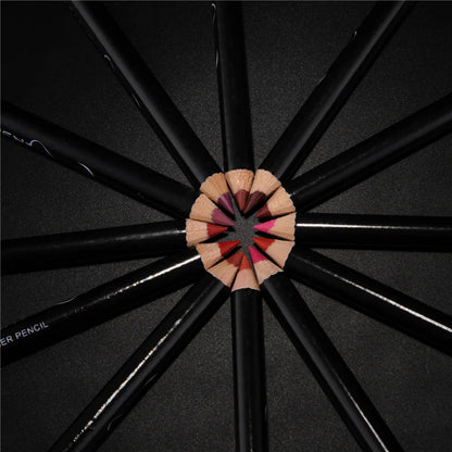 12-PIECE PROFESSIONAL MATTE LIP LINER PENCIL SET
